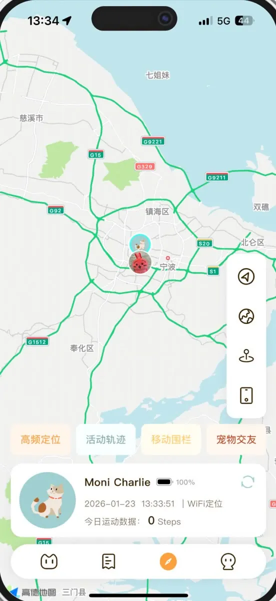 定位页：地图实时标注宠物位置